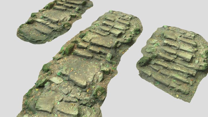 Old Stone Steps Stair Forest Scan Set 3D Model