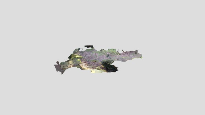 RNWS south sett area scan 1 – Modello 3D gratuito STL