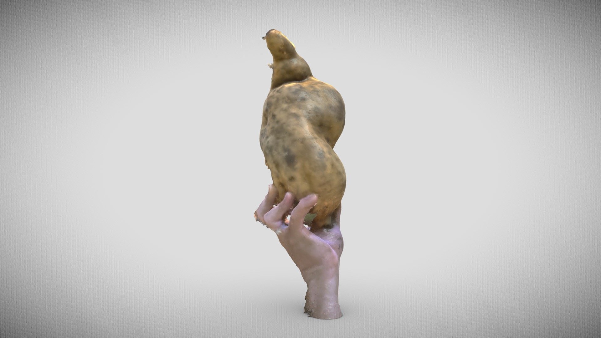 Giant Potato 3d Model By Jimmy Gunawan Jimmygunawan [8da3c83