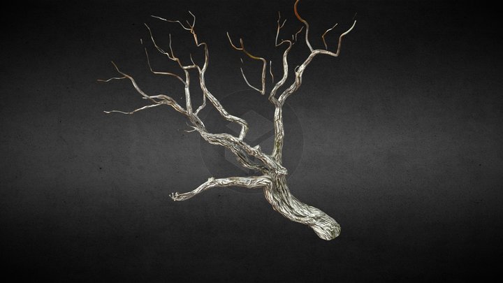 Branch 3D models - Sketchfab