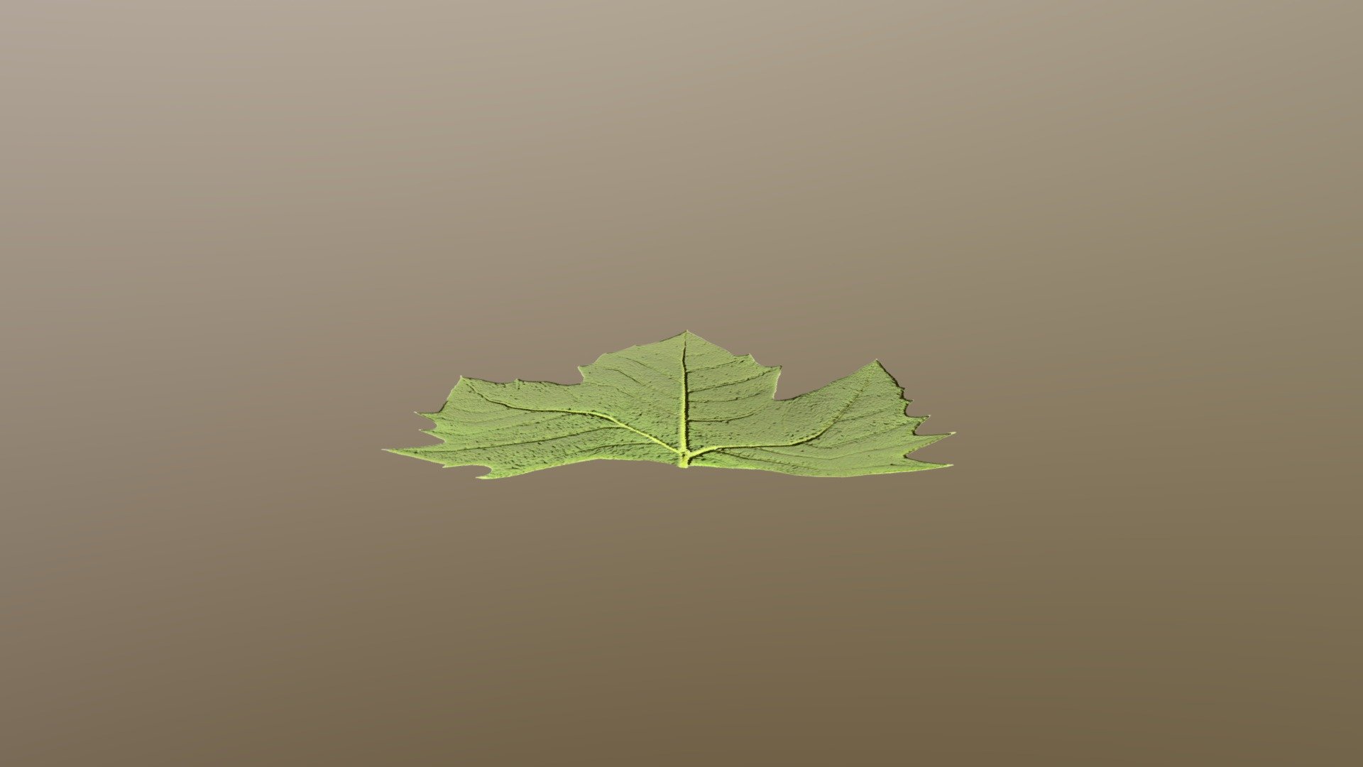 Leaf