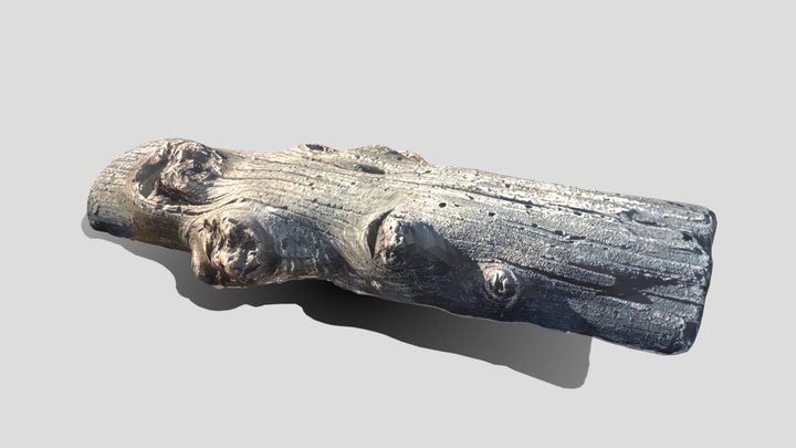 Driftwood Log 3D Model