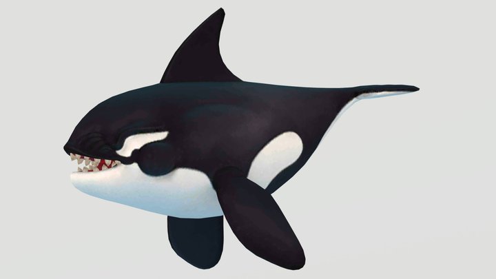 HSW Enemy Killer Whale – Free 3D Model STL