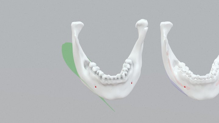 20260224 3D Model