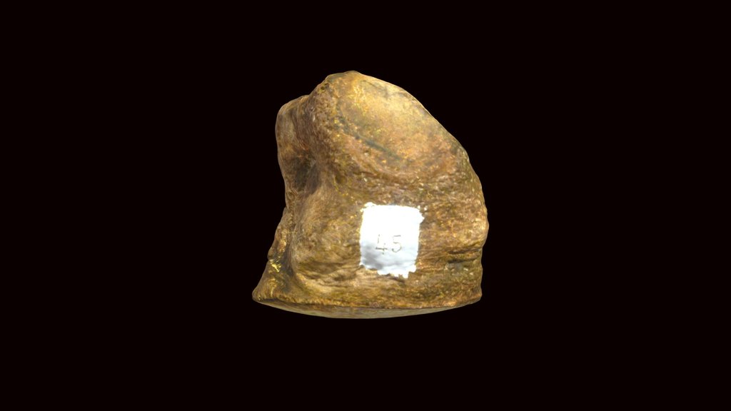 Mastodon toe bone (VCU_3D_4200)