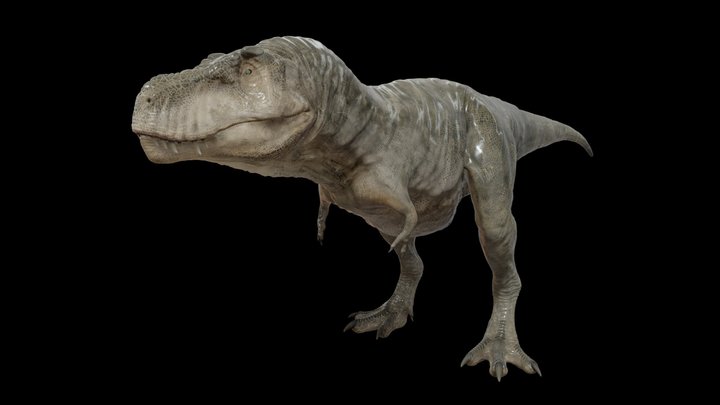 Tyrannosaurus Rex – Free 3D Model STL