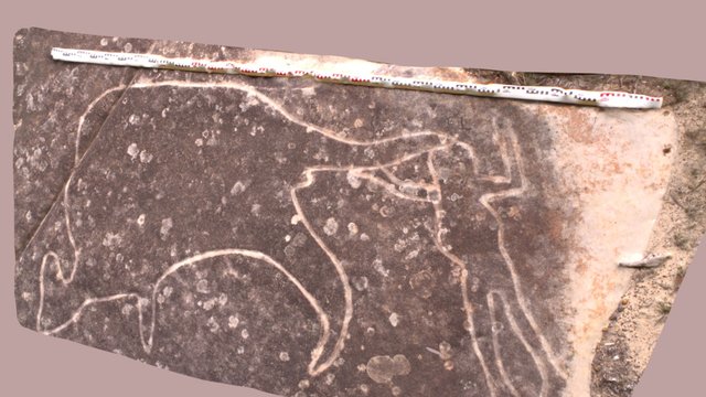 Aboriginal rock-art (Kangaroo)- captured, 2005 3D Model