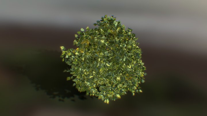 Photorealistic Bush 3D Model