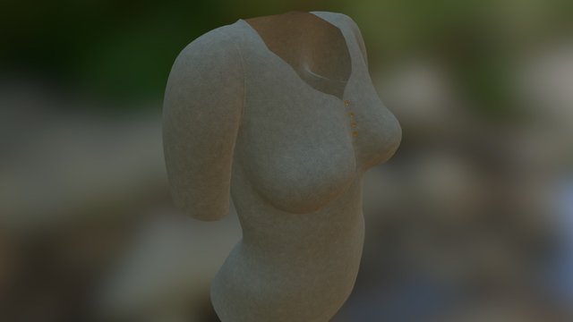 Shirt test 3D Model