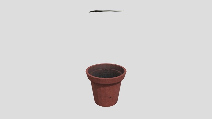 Flower Pot