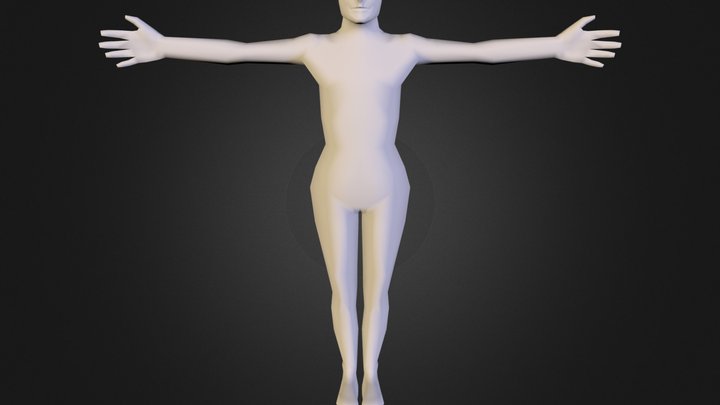Basemesh O B J 3D Model