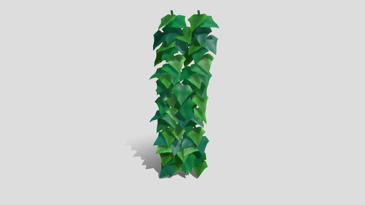 Simple Ivy 3D Model