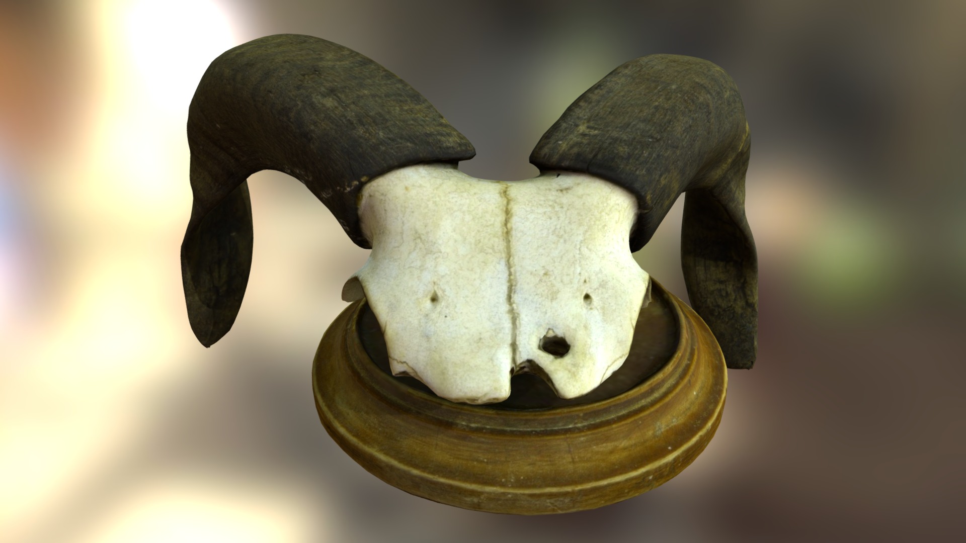 3D model Aries Skull - This is a 3D model of the Aries Skull. The 3D model is about a small clay animal.