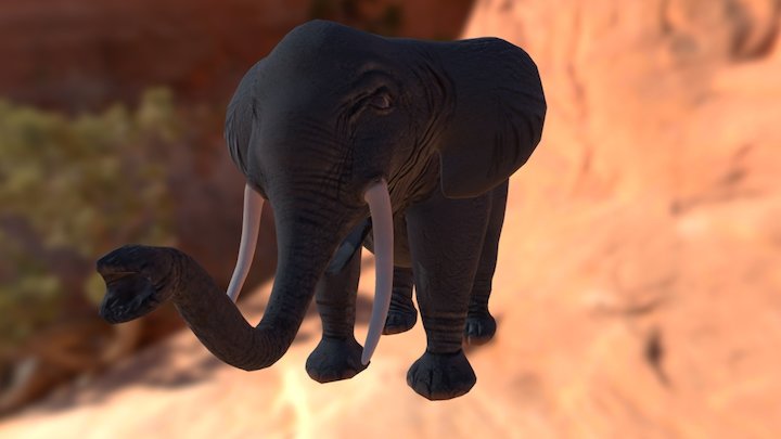 elephant 3D Model