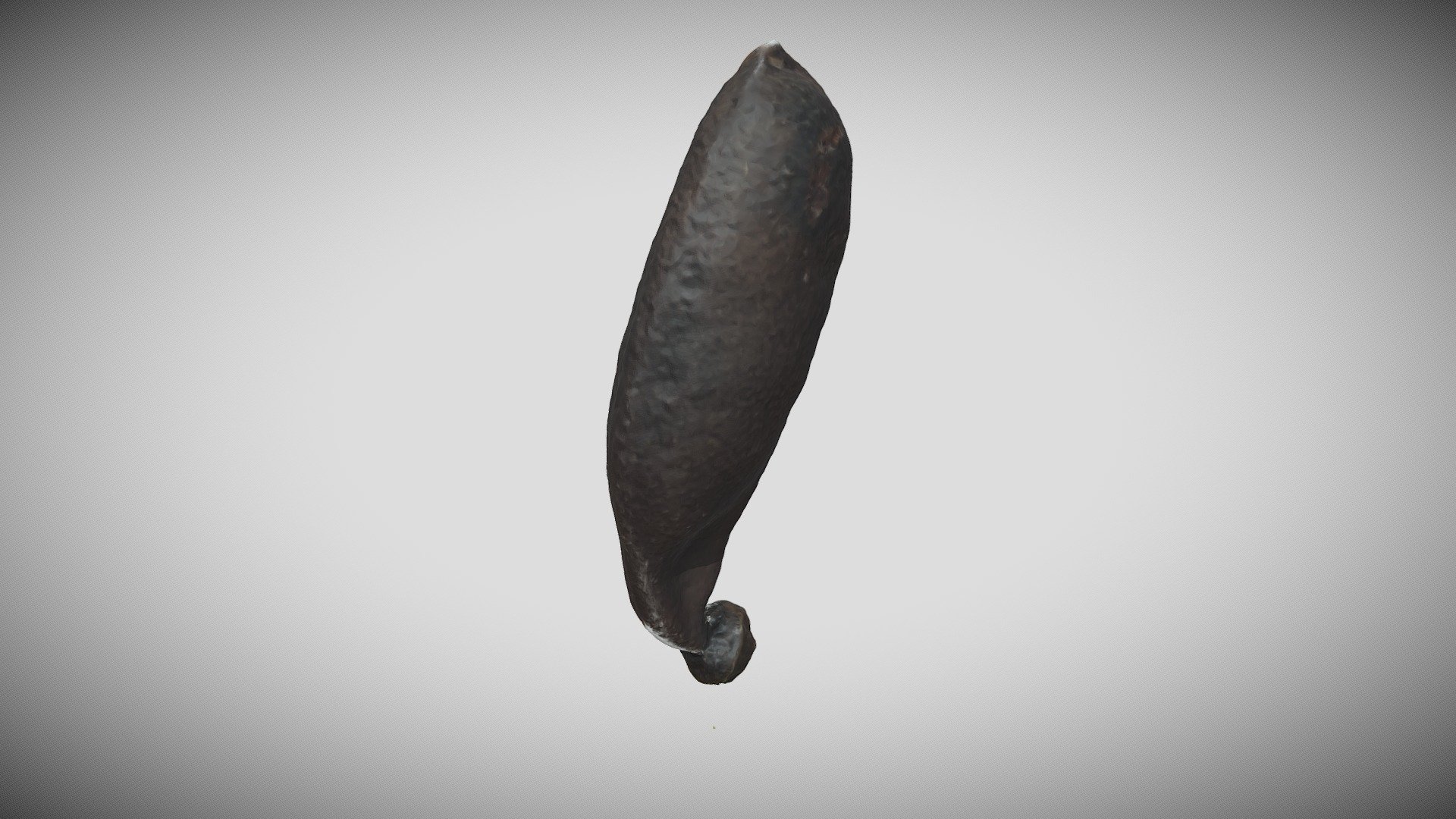 Brazil - Hymenaea courbaril