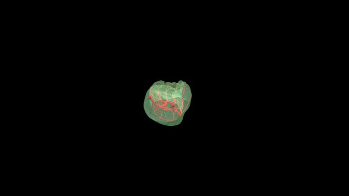 Michal_ruka_004 3D Model