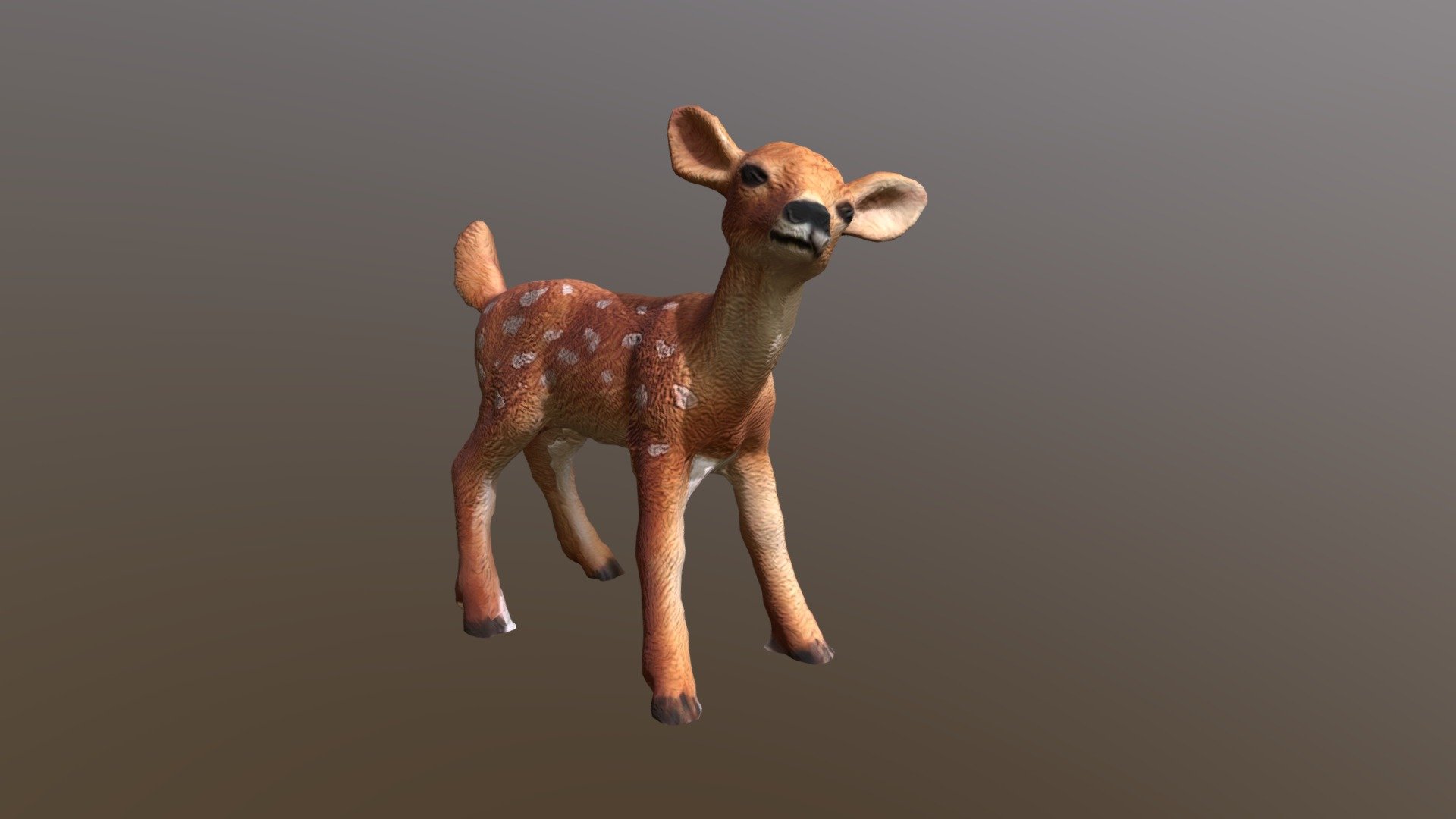 Doe - Buy Royalty Free 3D model by Thomas Binder (@bindertom61 ...
