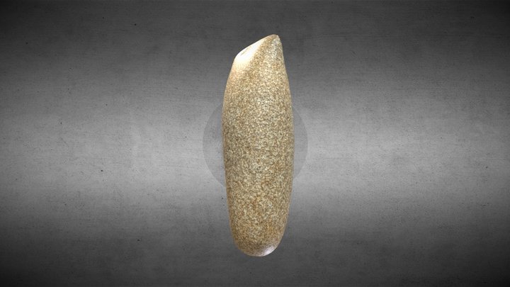 LITHIC AXE 3D Model
