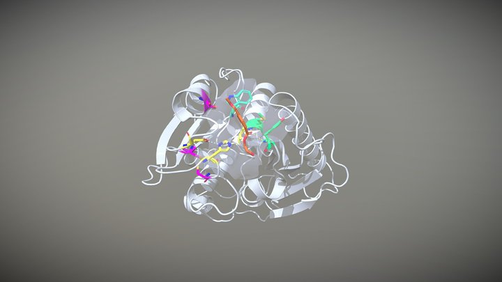 Hydrolase activity of PETase. 3D Model
