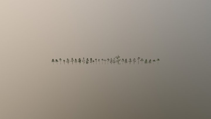 Sosny 3D Model