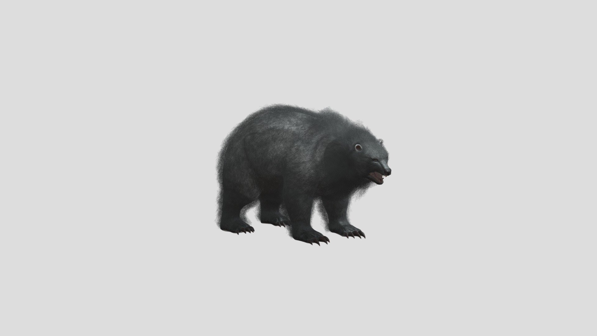 Heavi bear