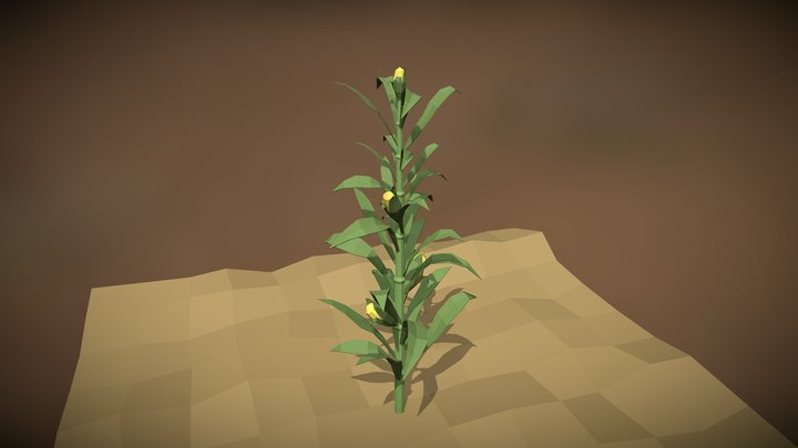 Low Poly Corn 3D Model