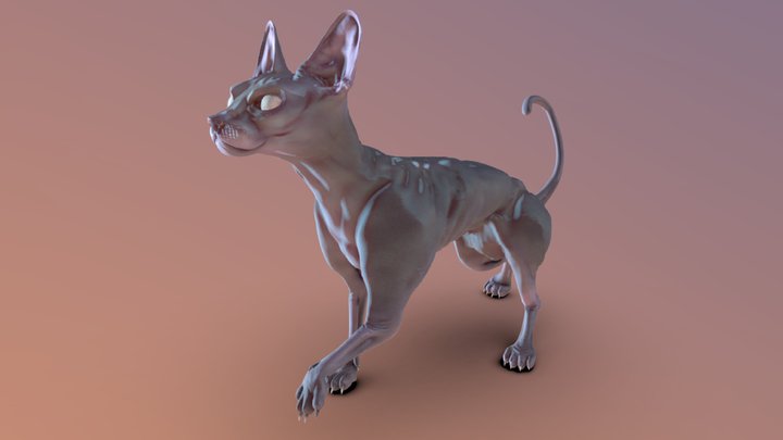 Sphynx Cat Sculpt 3D Model
