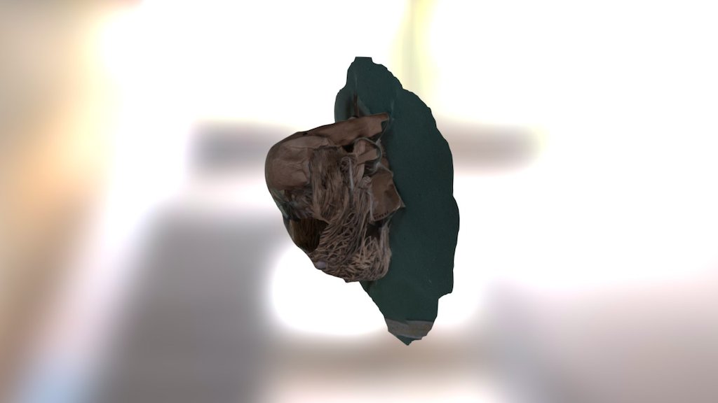 Mask
