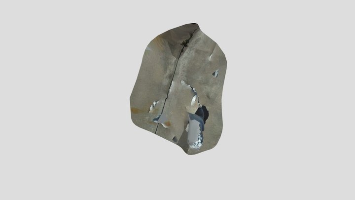 My lion 3D Model