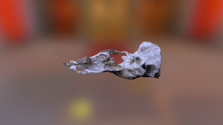 Palgio 3D Model