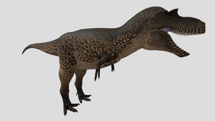 Gorgosaurus 3D Model