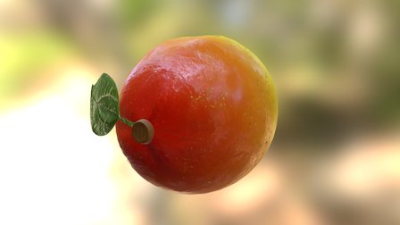Mango 3D Model