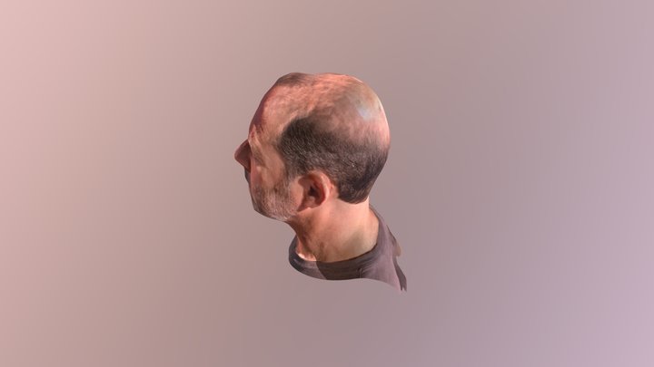 Bust1 3D Model