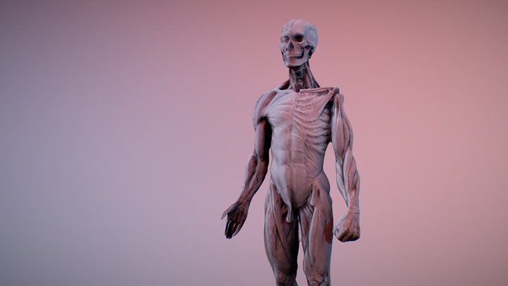 New softbox - Polycam capture 3D Model