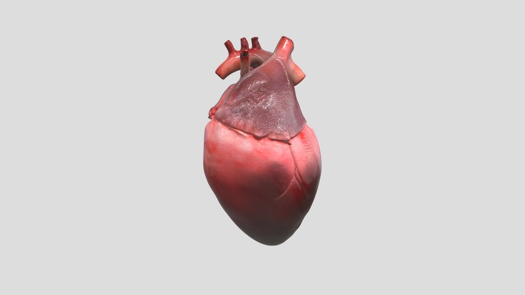 corazón humano
