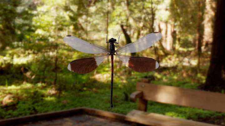 0606-1-S 3D Model