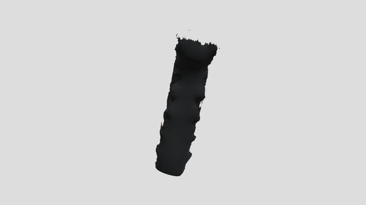 more more 3D Model