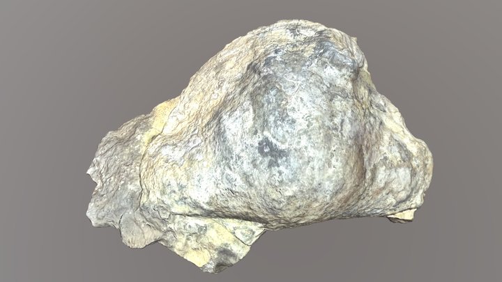 Delepinea_267-168 – Gratis 3D-model STL