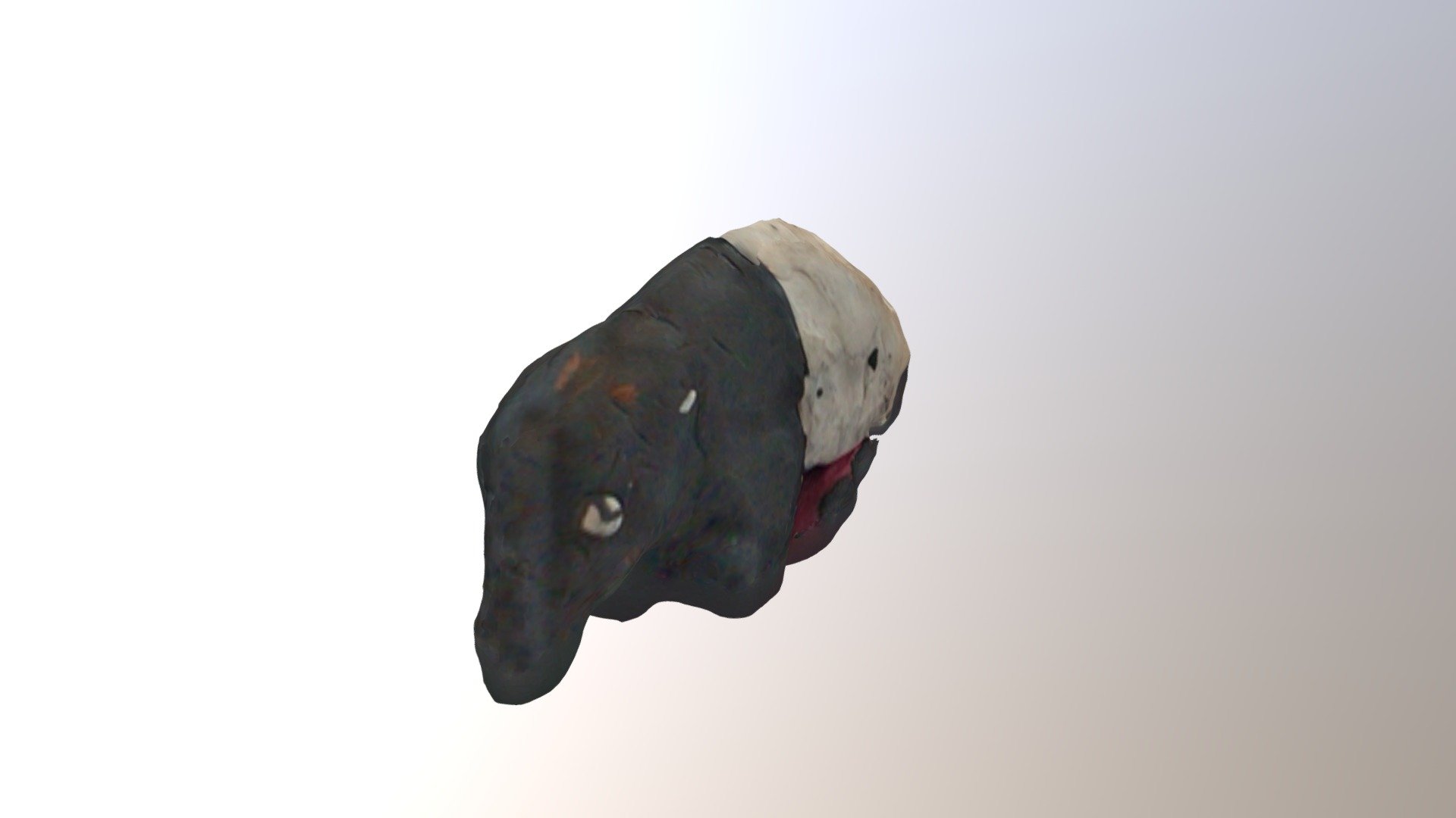 Tapír