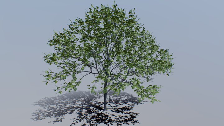 gt_001 – Kostenloses 3D-Modell STL