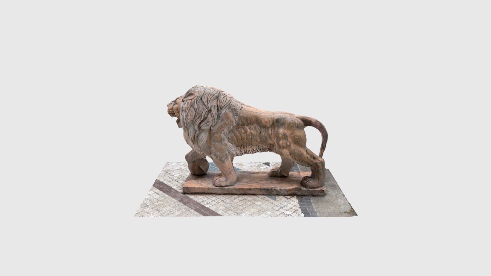 Italy lion