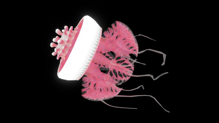 Crown Jellyfish (Rhizostomeae) – Modello 3D gratuito STL
