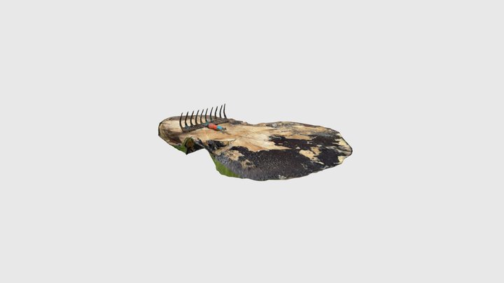 Hark 3D Model