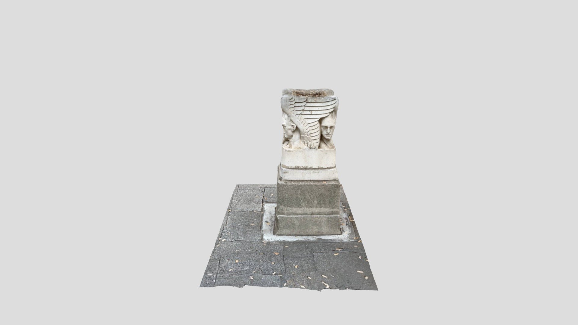 Bird bath with no birds
