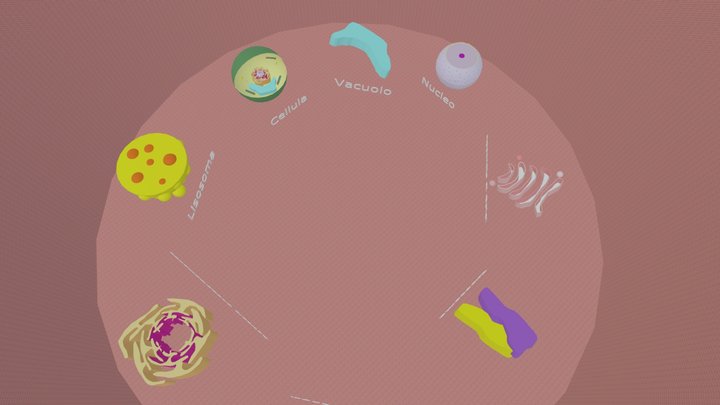 visionecellula 3D Model
