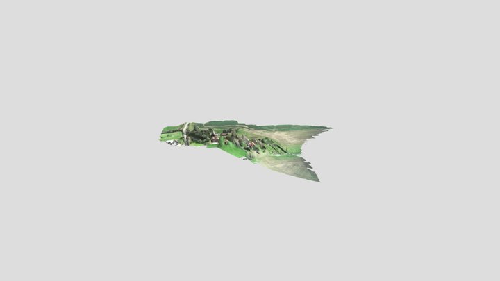 wramplingham 180324_simplified_3d_mesh 3D Model