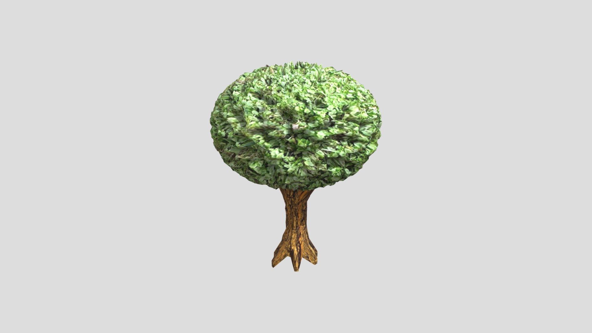 tree
