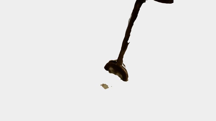 Large tooth key 3D Model