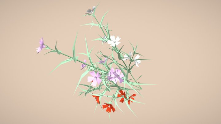 Chinapink Bouquet 3D Model