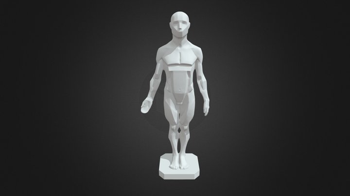 Male Planes Of The Body - John Asaro_obj 3D Model